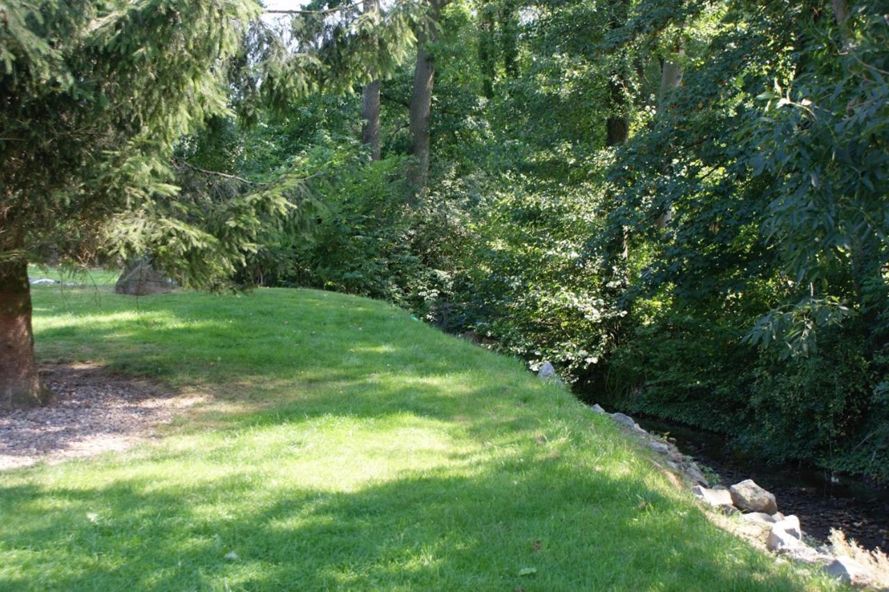 Romantic Wooden Lodge,Sauna,Schwimmteich,Alleinstehend,Absolut Ruhig Hessisch Oldendorf Bagian luar foto